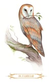 A Compendium Of Witches Oraculo Brujas — imagen 2