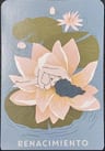 Oráculo De Las Madres Maravillosas Tarot — imagen 3
