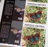 Márquez: Mariposas Porteñas - Paisaje Y Biodiversidad Urbana — imagen 2