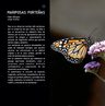 Márquez: Mariposas Porteñas - Paisaje Y Biodiversidad Urbana — imagen 3