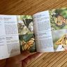 Márquez: Mariposas Porteñas - Paisaje Y Biodiversidad Urbana — imagen 6