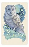 Dreamscape Oracle Matt Hughes Oraculo Onirico Sueños — imagen 9