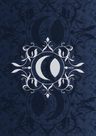 De La Nuit Oracle: 30 Full Col Cards & Instructions — imagen 5