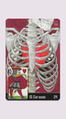 Tarot Oráculo La Santa Muerte Lenormand — imagen 5