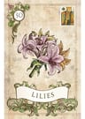 Tarot Cartas Old Style Lenormand — imagen 4