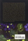 Prosperidad Verdadera Yehuda Berg Kabbalah Cabala — imagen 2