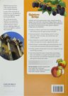 Rainbow Bridge: Level 1: Students Book And Workbook — imagen 2