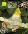 Insectos, Anfibios Y Reptiles Jean-jacques Bignon — imagen 1