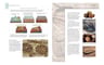 Enciclopedia Ilustrada De Minerales, Rocas Y Fósiles — imagen 6