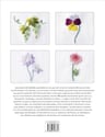 Libro Los Puntos De Bordado Esenciales Atelier Fil — imagen 4