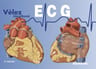 Vélez Ecg Handbook — imagen 1