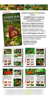 Núñez Bustos: Mariposas Ciudad De Buenos Aires Y Alrededores — imagen 2