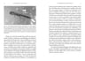 El Cerebro Del Adolescente  -  David Bueno — imagen 3