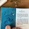 Pagana Tarot Oráculo Cartas Saraiba — imagen 2