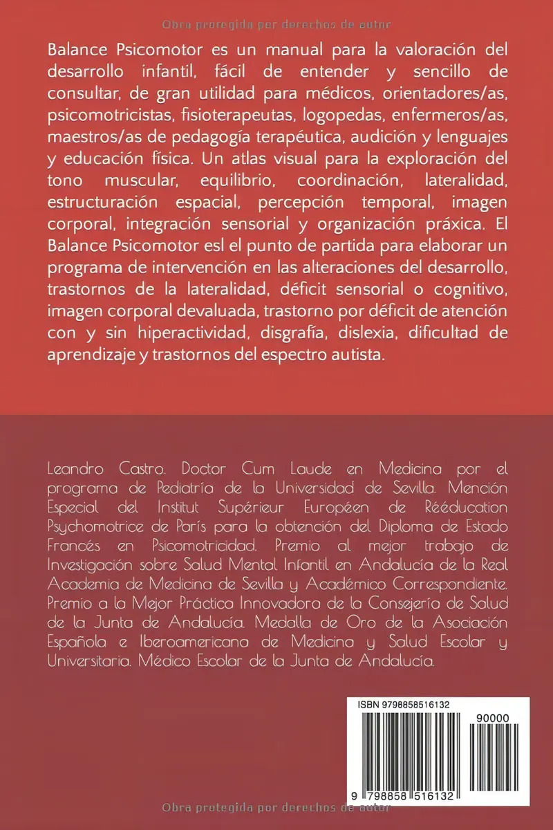 Balance Psicomotor: Exploración Del Desarrollo Infantil — imagen 6