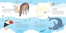 Animales Libro Y Juegos De Emparejar Usborne Uk — imagen 3