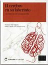 Cerebro En Su Laberinto,el - Mas Salguero, Maria Jose — imagen 1