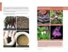 Cocina Silvestre Ii  Elena Iakovleva — imagen 3