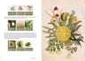 Cocina Silvestre Ii  Elena Iakovleva — imagen 4