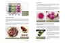 Cocina Silvestre Ii  Elena Iakovleva — imagen 5