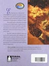 El Botiquin De Las Hadas — imagen 2