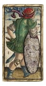 Sola Busca Tarot Oraculo — imagen 4