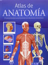 Atlas Anatomía Cuerpo Humano  Funciones  600 Ilustraciones — imagen 3