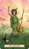 Everyday Witch Tarot — imagen 4