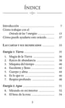 Oraculo 7 Energias Oraculo 49 Cartas Collette Baron Reid — imagen 4