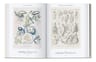 The Art And Science Of Ernst Haeckel Taschen — imagen 3