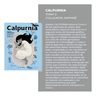 Calpurnia, De Jacquelin, Kelly. Editorial Libre Albedrio Editorial, Tapa Dura En Castellano — imagen 4