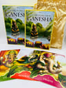 Susurros Del Dios Ganesha Oráculo 50 Cartas Español Librillo — imagen 4