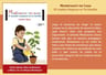 Montessori En Casa El Cambio Empieza En Tu Familia — imagen 3