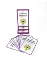 Momentos Conscientes Cartas De Mindfulness — imagen 2