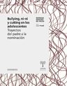 Bullying, Ni-ni Y Cutting En Los Adolescentes, De Damasia Amadeo De Freda. Editorial Universidad De San Martínedita (c), Tapa Blanda En Español, 2019 — imagen 1
