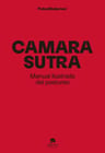Camarasutra Manual Ilustrado Del Postureo, De Aa. Vv.. Editorial Alienta, Tapa Blanda En Español, 2022 — imagen 2