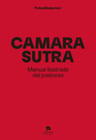 Camarasutra Manual Ilustrado Del Postureo, De Aa. Vv.. Editorial Alienta, Tapa Blanda En Español, 2022 — imagen 1