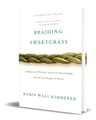 Libro Braiding Sweetgrass, De Robin Wall Kimmerer. Editorial Milkweed Editions, Tapa Blanda, En Inglés ( 2015) — imagen 1