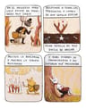 Semillas 1 Decur — imagen 2