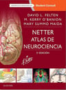 Netter. Atlas De Neurociencia + Studentconsult (3ª Ed.) — imagen 1