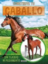 Construye Tu Caballo, De Vv. Aa.. Editorial Susaeta, Tapa Blanda En Español — imagen 2