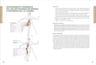 Anatomía De Los Estiramientos Arnold G. Nelson — imagen 5