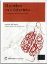 Cerebro En Su Laberinto. Los Trastornos Del Neurodesarrollo — imagen 5