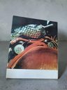 En Argentina Libro Fotos Gaucho Ediciones Del Sur Años 70 Ta — imagen 5