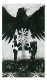 Murder Of Crows Tarot Corrado Roi Barajas Oraculo — imagen 8