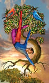 Tarot Mystic Palette Ciro Marchetti Oraculo — imagen 10