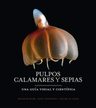 Pulpos, Calamares Y Sepias Zoologia Marina Acuatica — imagen 2