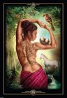 Oracle Of Visions Cartas Ciro Marchetti Oraculo — imagen 7