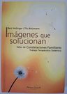 Imágenes Que Solucionan Constelaciones Hellinger — imagen 1