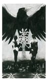 Tarot Lo Scarabeo Murder Of Crows Español 78 Cartas — imagen 11